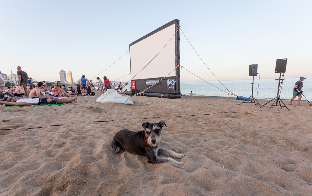 Кино на пляже