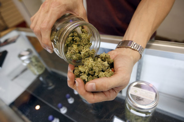 THE ANGELS, THAT - JULY 25:  A Budtender Pours Marijuana From A Jar At Perennial Holistic Wellness Center Medical Marijuana Dispensary, Which Opened In 2006, On July 25, 2012 In Los Angeles, California. The Los Angeles City Council Has Unanimously Voted To Ban Storefront Medical Marijuana Dispensaries And To Order Them To Close Or Face Legal Action. The Council Also Voted To Instruct Staff To Draw Up A Separate Ordinance For Consideration In About Three Months That Might Allow Dispensaries That Existed Before A 2007 Moratorium On New Dispensaries To Continue To Operate. It Is Estimated That Los Angeles Has About One Thousand Such Facilities. The Ban Does Not Prevent Patients Or Cooperatives Of Two Or Three People To Grow Their Own In Small Amounts. Californians Voted To Legalize Medical Cannabis Use In 1996, Clashing With Federal Drug Laws. The State Supreme Court Is Expected To Consider Ruling On Whether Cities Can Regulate And Ban Dispensaries.    (Photo By David McNew/Getty Images)